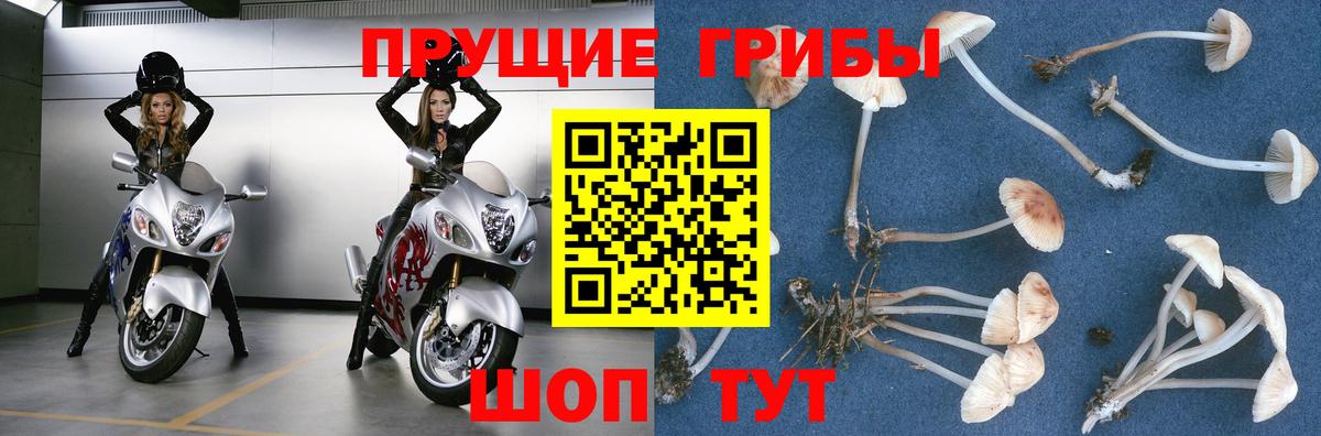 Новосибирск  Галлюциногенные грибы мицелий  Вход с VPN 